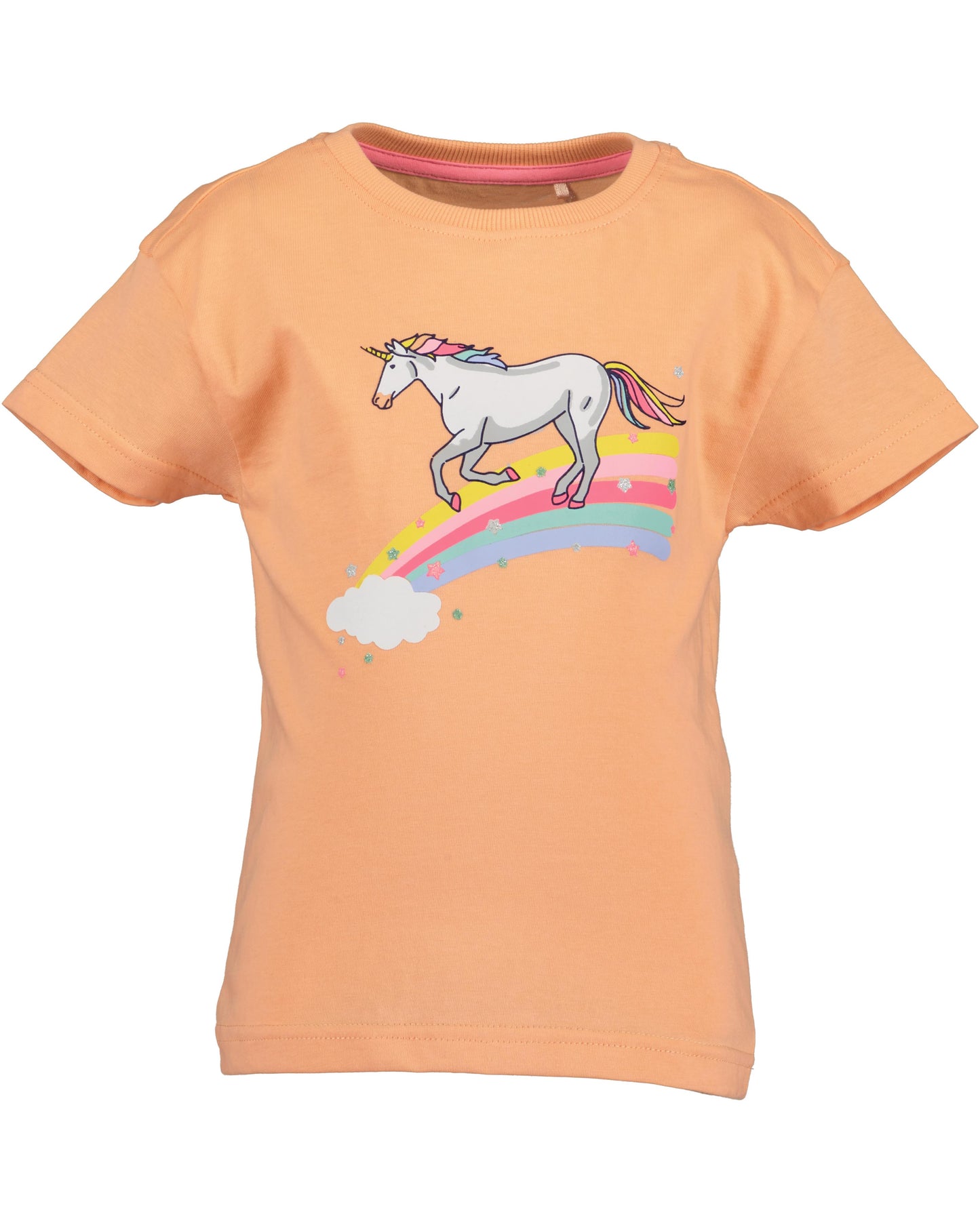 Unicorn T-Shirt (Different Designs)
