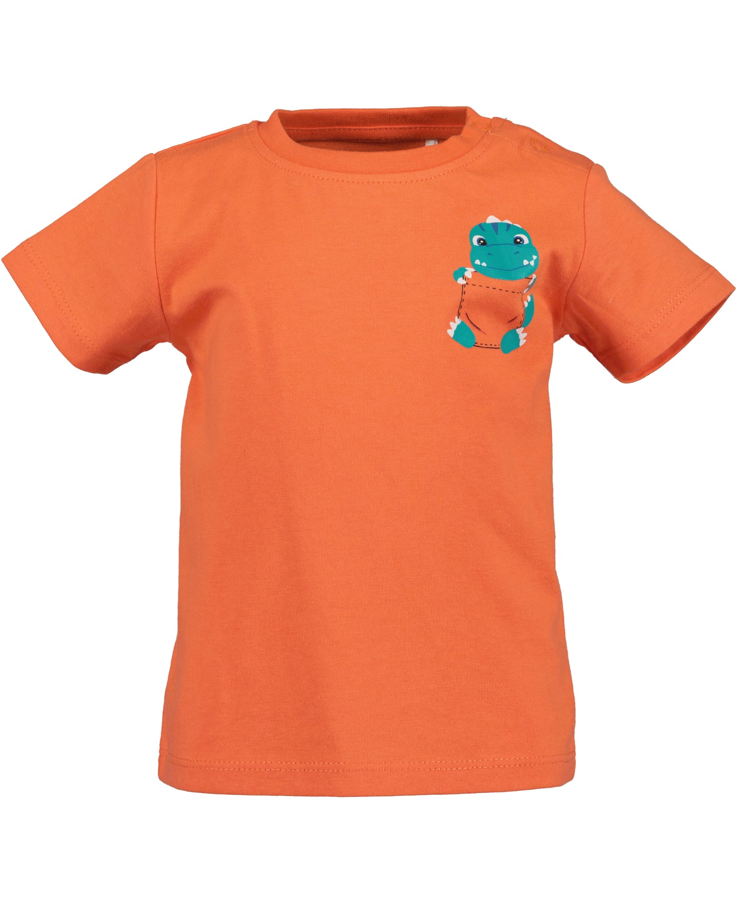Dinosaur T-Shirt
