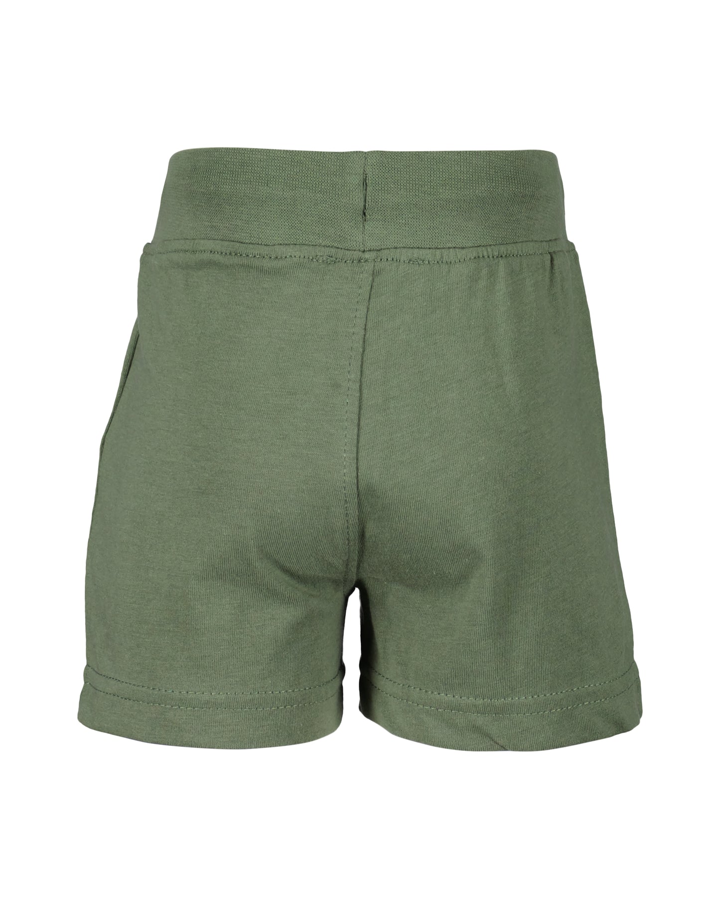 Blue/Green Soft Shorts