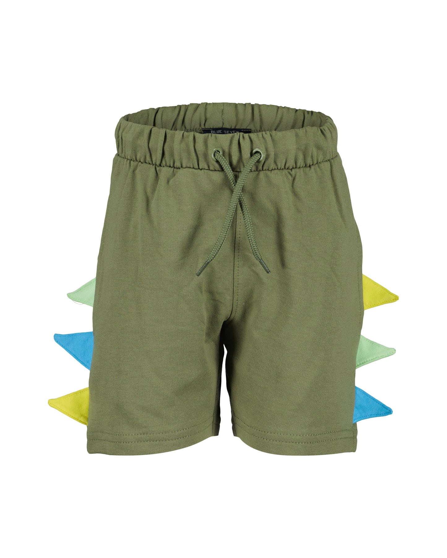 Dinosaur Shorts