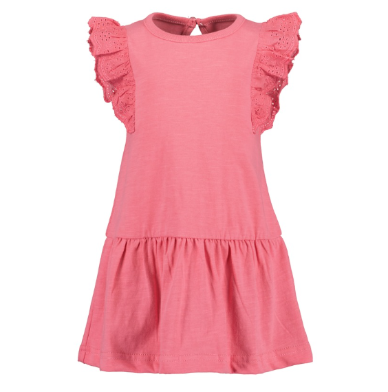 Sleeveless Pink Embroidered Dress
