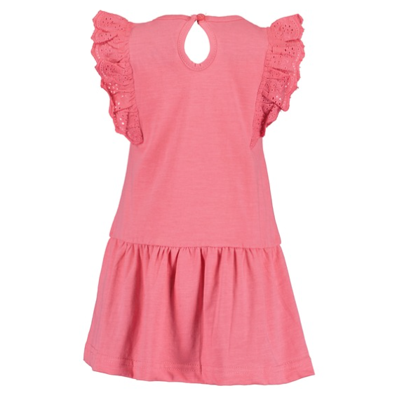 Sleeveless Pink Embroidered Dress