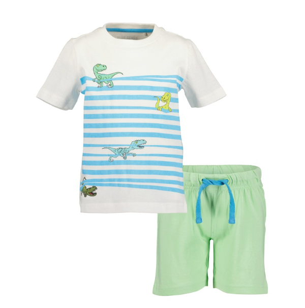 Striped Dinosaur T-Shirt & Shorts set
