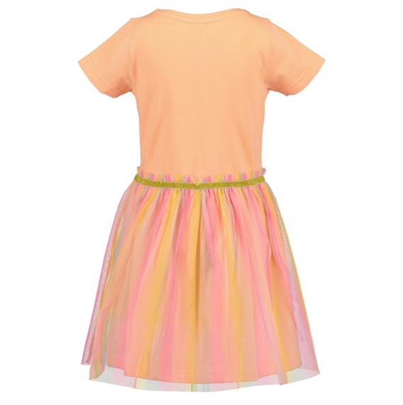 Unicorn Dress with Tule