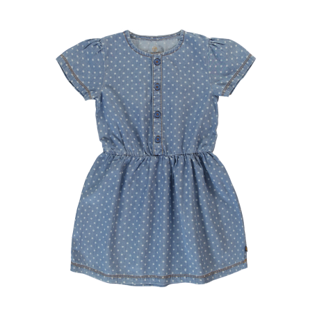 Soft Denim Polka Dot Dress
