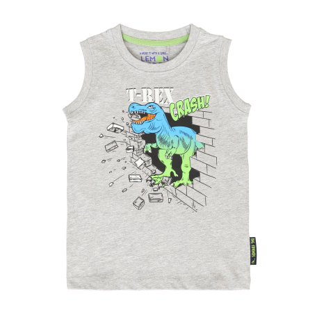 Grey T-Rex Crash T-shirt