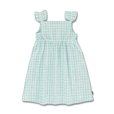 Blue Checkered Dress