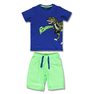 Dinosaur t-shirt & shorts set