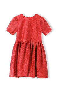 Red organza Dress