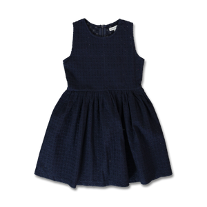 Navy Blue Embroidery Dress
