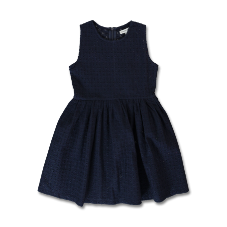 Navy Blue Embroidery Dress
