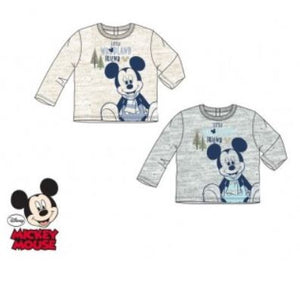Mickey Mouse little Woodland