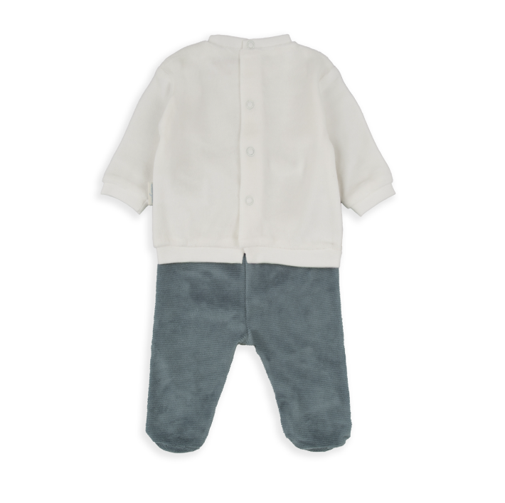 Baby Boy Dog 2-piece set