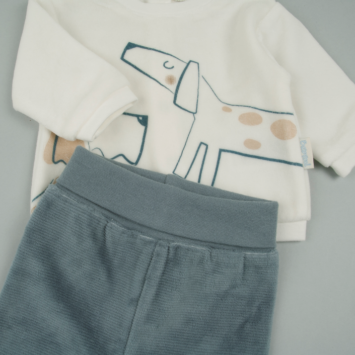 Baby Boy Dog 2-piece set