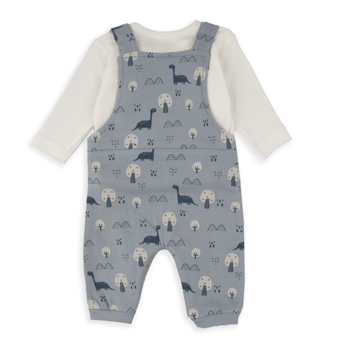 Blue Dino Dungaree set
