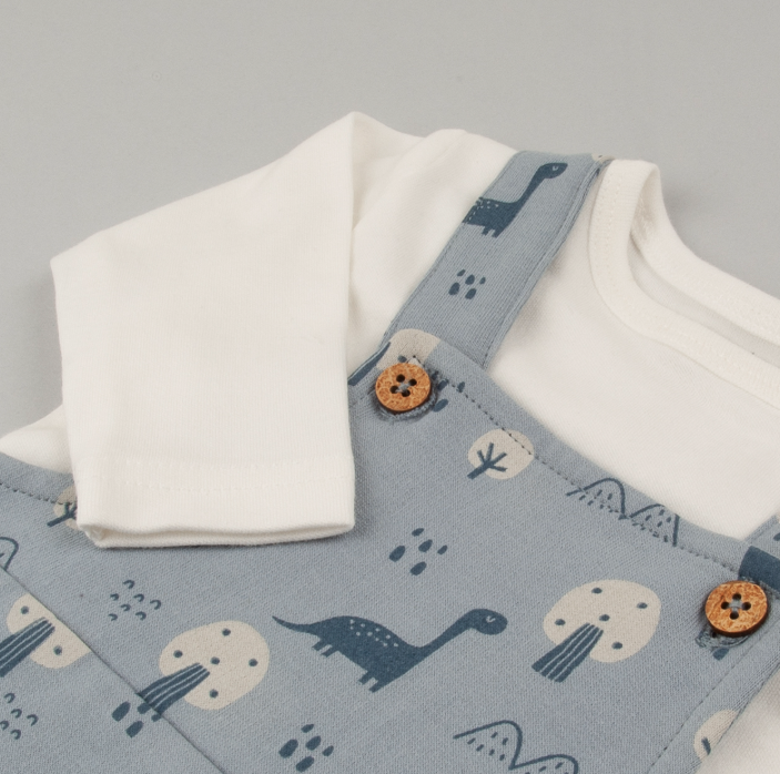Blue Dino Dungaree set