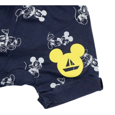 Mickey Mouse Shorts
