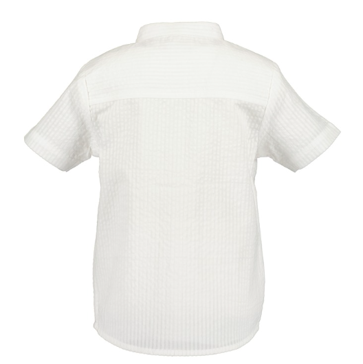 Short Sleeve White Shirt