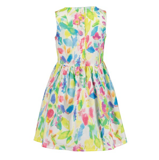 Sleeveless Water Colour Dress