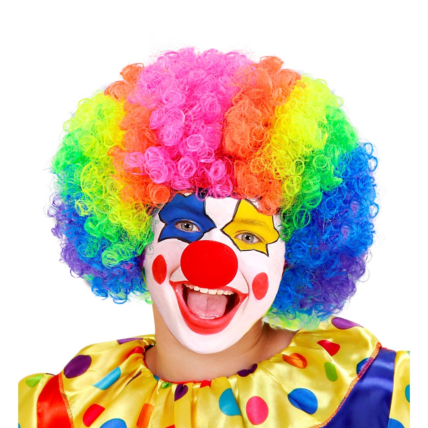 Rainbow clown wig