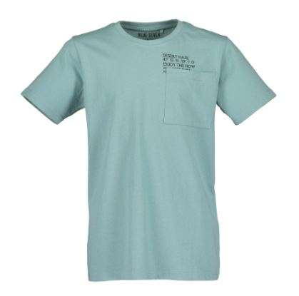 Desert Haze t-shirt (aqua/grey)