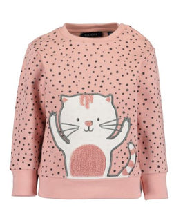 Kitten sweater